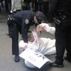 PETA's Seal of Disapproval Hauled off by NYPD